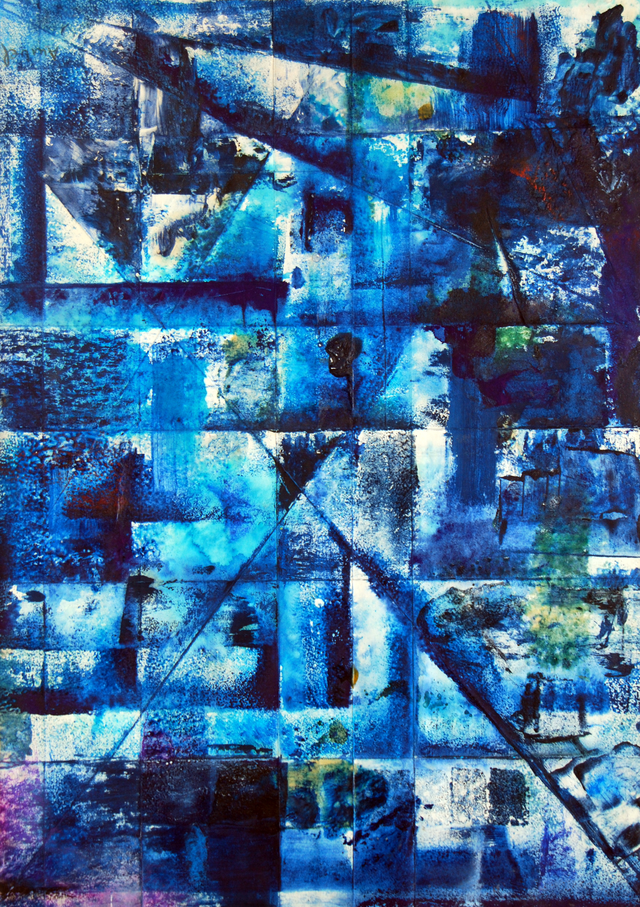 reflejos de luna entre arrozales.JPG